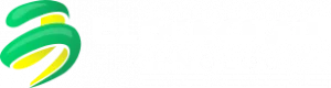 BlockchainTechs Logo