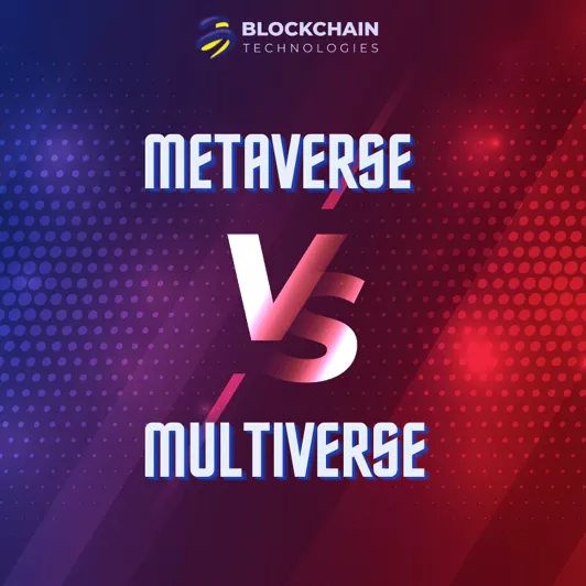 metaverse-vs-multiverse-4x4